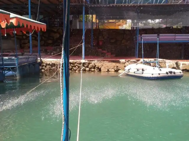 Nehir Piknik Restaurant'nin yemek ve ambiyans fotoğrafları 6