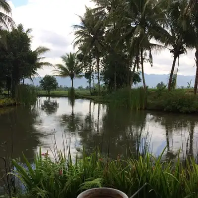 Kopi Mpat