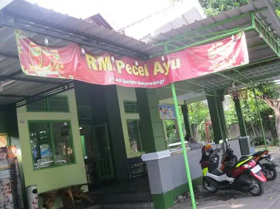 Gambar Makanan Pecel Ayu 7