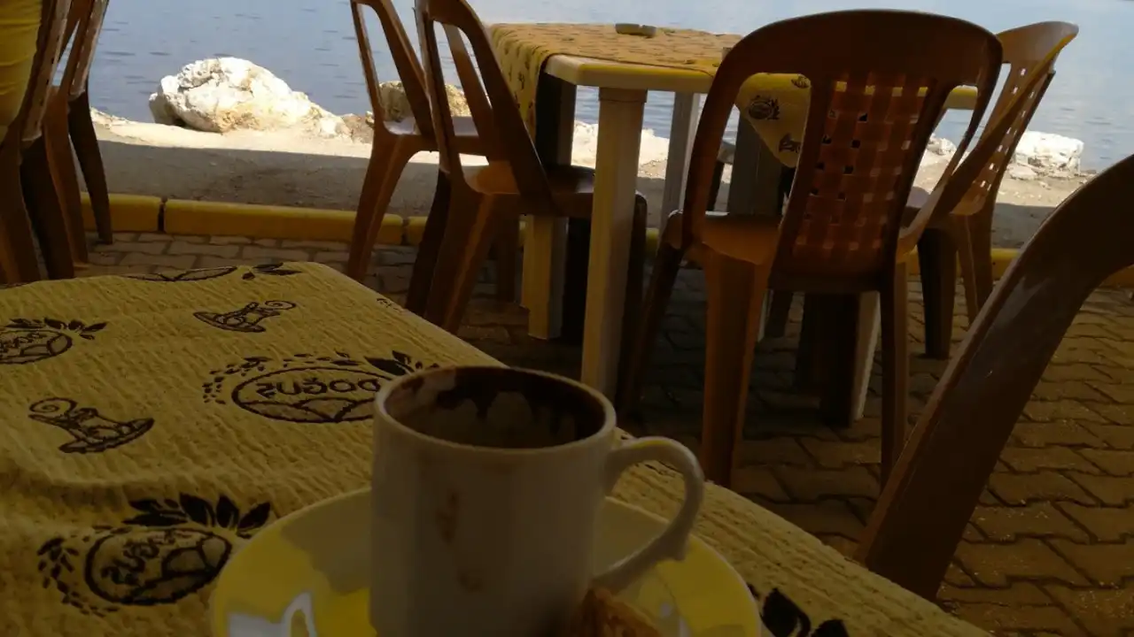 Sari kahve sahil Kursunlu