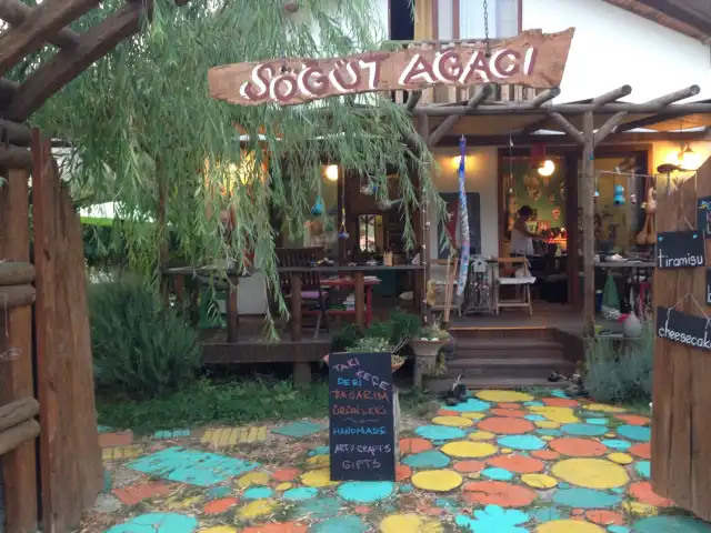 Söğüt Ağacı Cafe & Atölye'nin yemek ve ambiyans fotoğrafları 19
