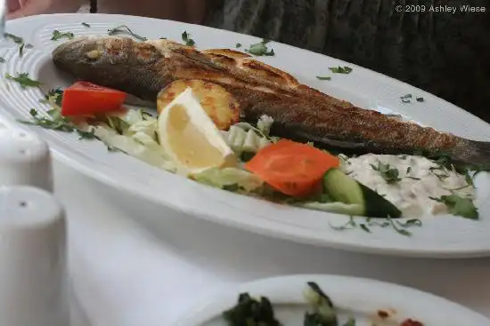 Sultanahmet Fish House'nin yemek ve ambiyans fotoğrafları 18
