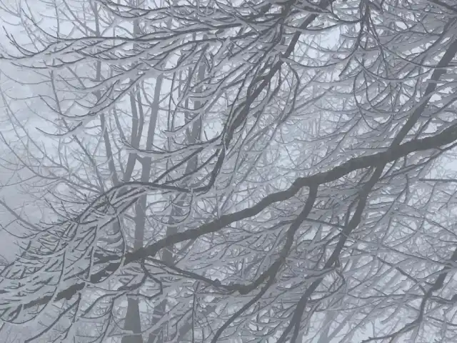 Kartepe Sisli Vadi'nin yemek ve ambiyans fotoğrafları 9