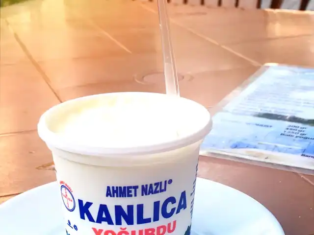 ahmet nazlı kanlıca yoğurdu