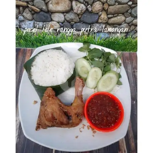 Gambar Makanan Pecel Lele Rangga Putra Lamongan 9