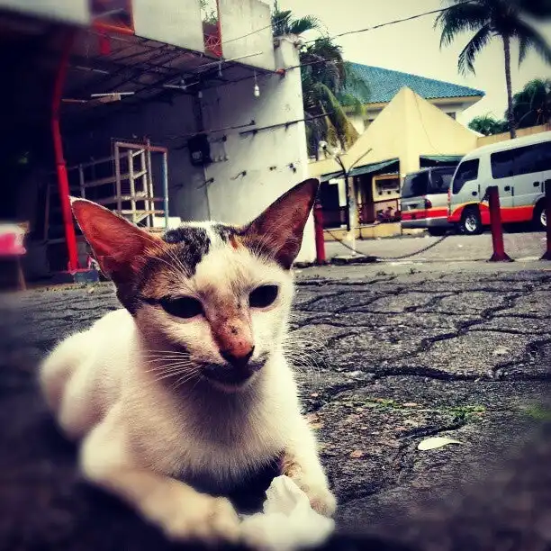 Gambar Makanan Taman Jajan BSD City (Kolam Renang) 15