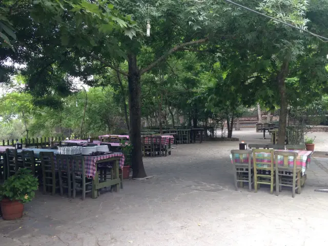 Cennet Bahçesi Hasan'ın Yeri Et & Mangal'nin yemek ve ambiyans fotoğrafları 4