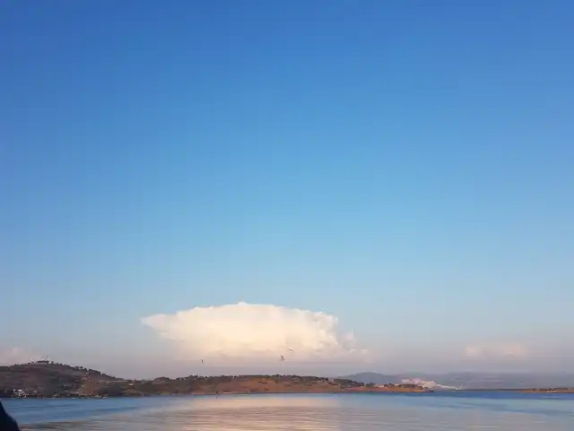 Uğur Lokantası'nin yemek ve ambiyans fotoğrafları 2