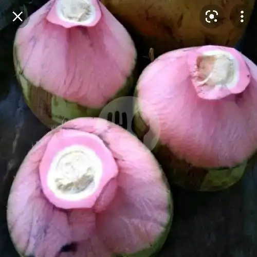 Gambar Makanan Es kelapa Muda Sinar Tasik 6