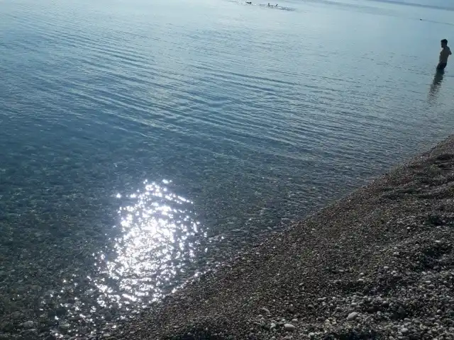 Bay Tudors Beach'nin yemek ve ambiyans fotoğrafları 2