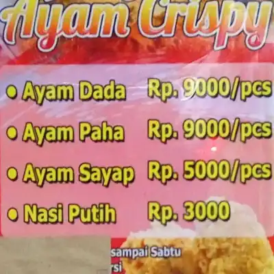 Ayam Spicy Brintik