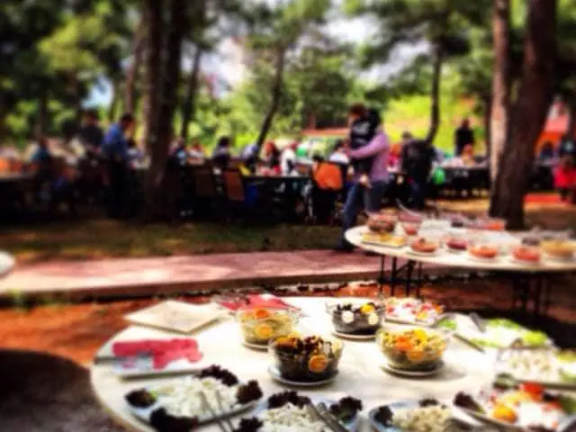 Nashira Park'nin yemek ve ambiyans fotoğrafları 3
