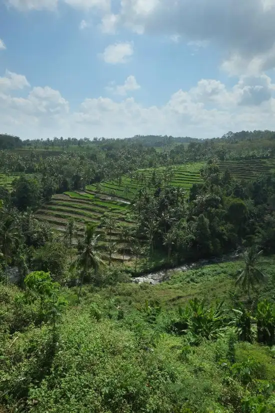 Gambar Makanan Pondok Indah Banyuwangi 2