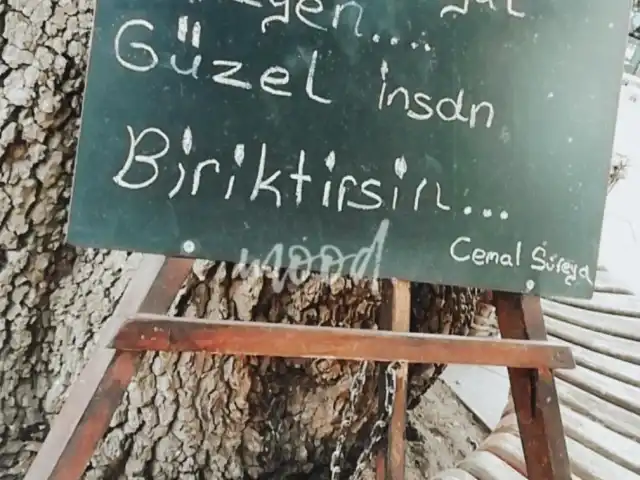 No 19 Cafe Arasta'nin yemek ve ambiyans fotoğrafları 2