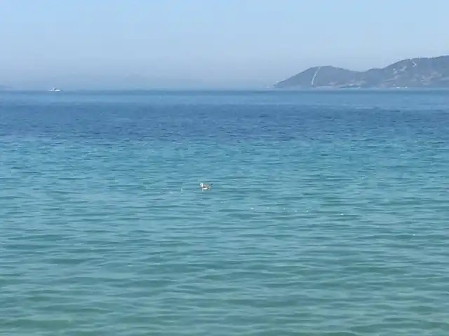 Güldeniz Cafe'nin yemek ve ambiyans fotoğrafları 5