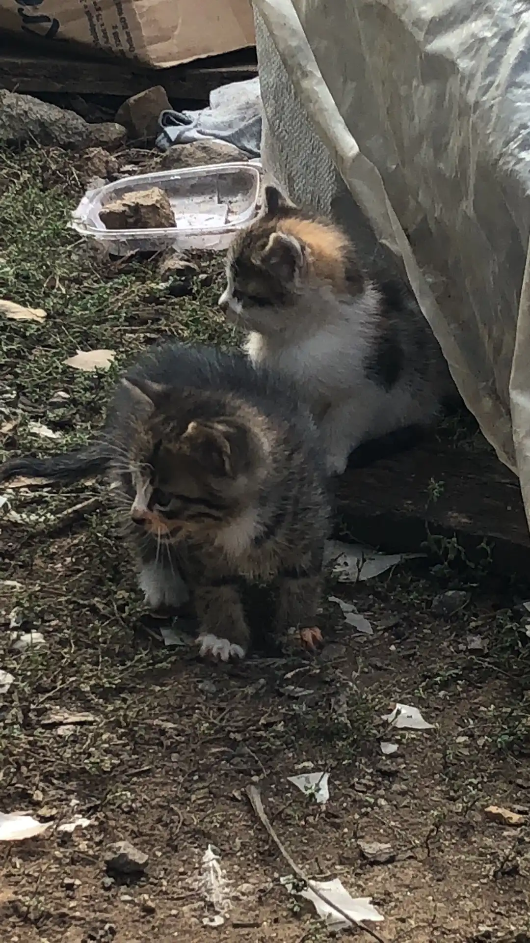 Sakallı Kasap Et Mangal