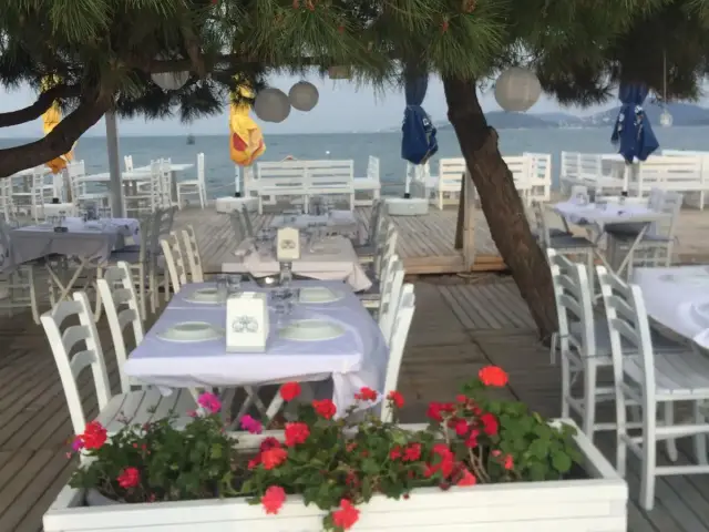 Teos Beach Club'nin yemek ve ambiyans fotoğrafları 28