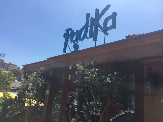 Radika Balık Restoran'nin yemek ve ambiyans fotoğrafları 31