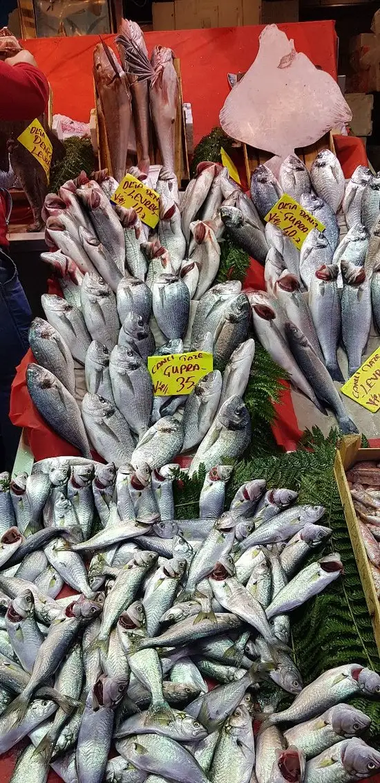 Coşkun Balık'nin yemek ve ambiyans fotoğrafları 58