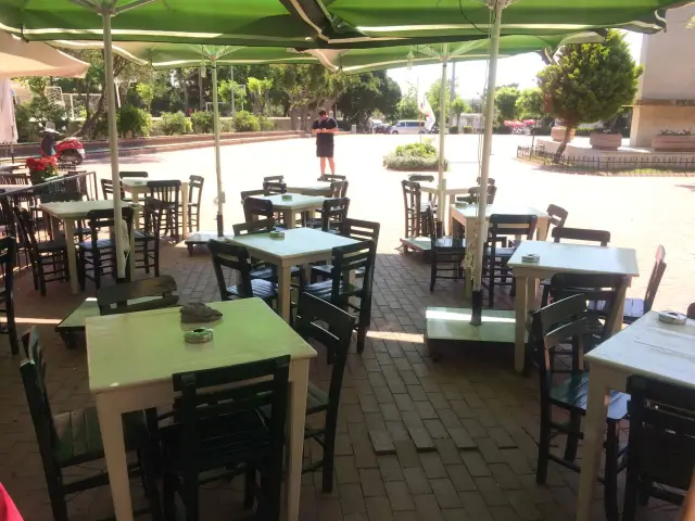 Aydo Cafe'nin yemek ve ambiyans fotoğrafları 2