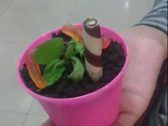 Gambar Makanan Flowerpot Ice Cream 10