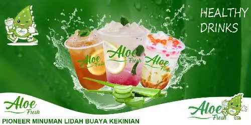 Aloe Fresh, Pluit