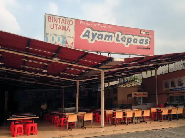 Gambar Makanan Ayam Lepaas 4