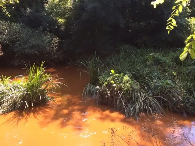 Cennet Vadisi Restaurant'nin yemek ve ambiyans fotoğrafları 15