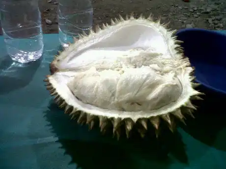 Gambar Makanan Durian simpang kuala 13