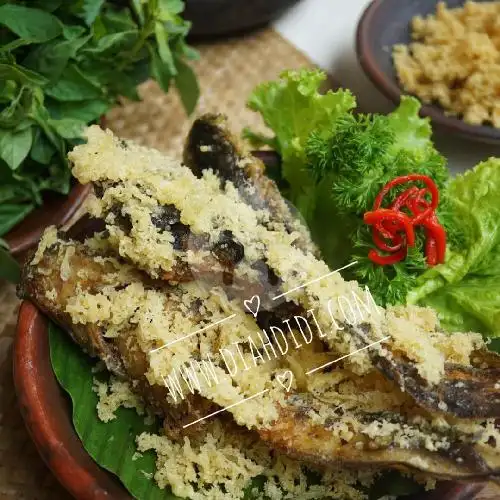 Gambar Makanan Seafood Nasi Uduk F3 8