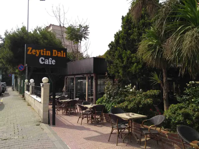 Zeytin Dalı Cafe Bakırköy 'nin yemek ve ambiyans fotoğrafları 4