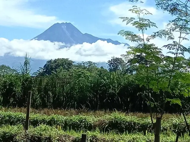 Gambar Makanan Disawa Pawon 9