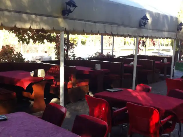 Cafe Altın'nin yemek ve ambiyans fotoğrafları 2