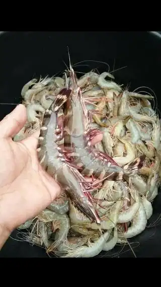 Kak Ning Seafood