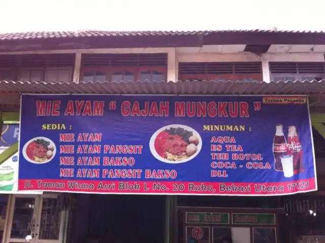 Gambar Makanan Mie Ayam Bakso Gajah Mungkur 6