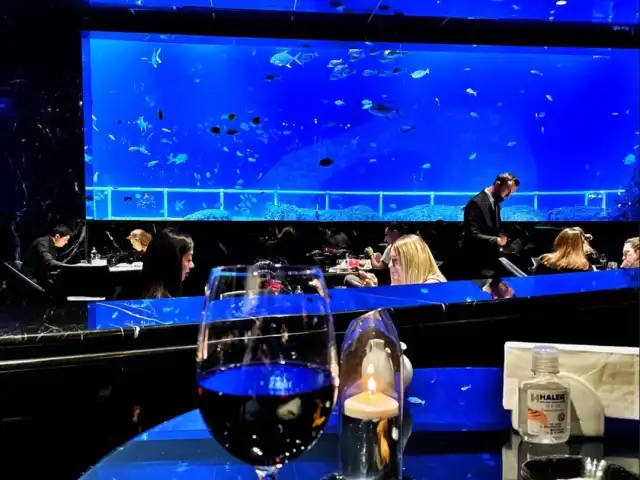 Nemo Restaurant & Lounge'nin yemek ve ambiyans fotoğrafları 13