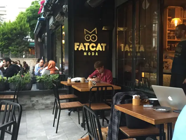 Moda FatCat'nin yemek ve ambiyans fotoğrafları 12