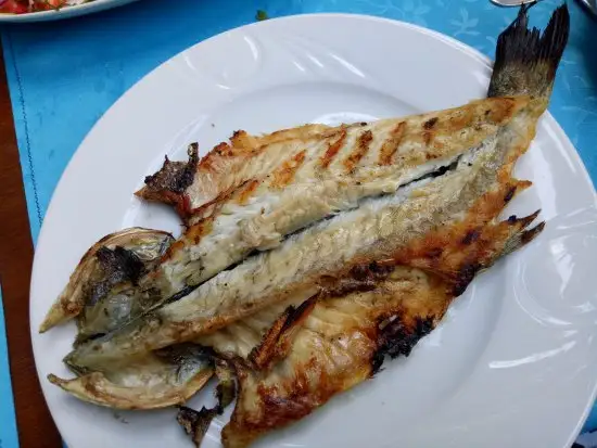Marmara Balık Restaurant'nin yemek ve ambiyans fotoğrafları 5
