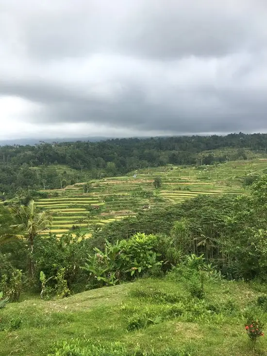 Gambar Makanan Rapuan Cili 4