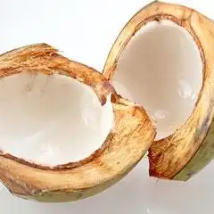 Gambar Makanan Es kelapa Muda Sinar Tasik 8
