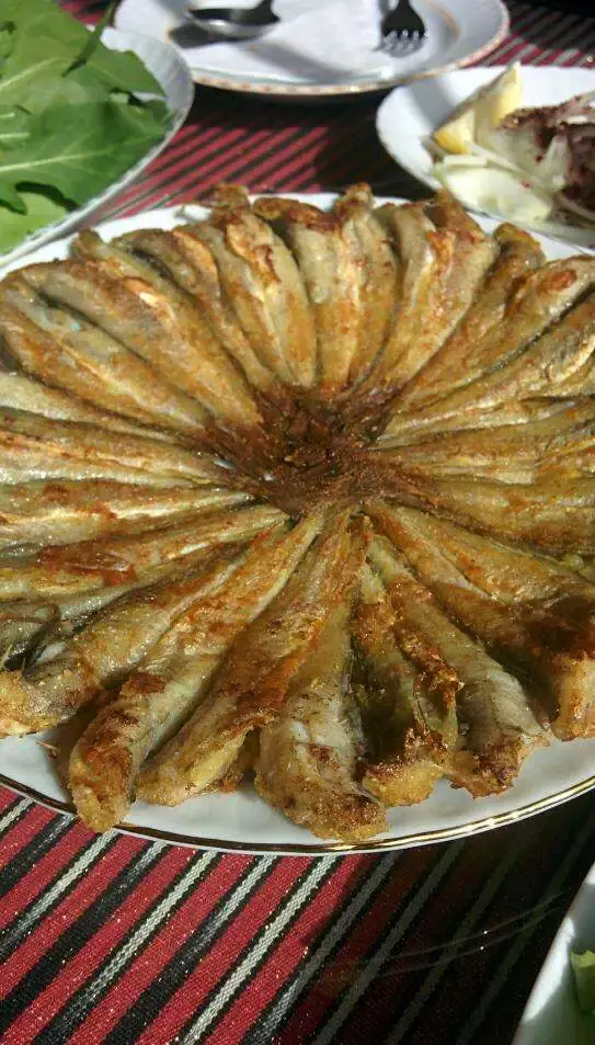 Alo Hamsi'nin yemek ve ambiyans fotoğrafları 11