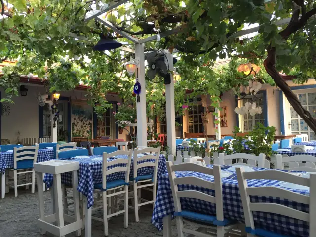 Milos Rum Meyhanesi'nin yemek ve ambiyans fotoğrafları 11