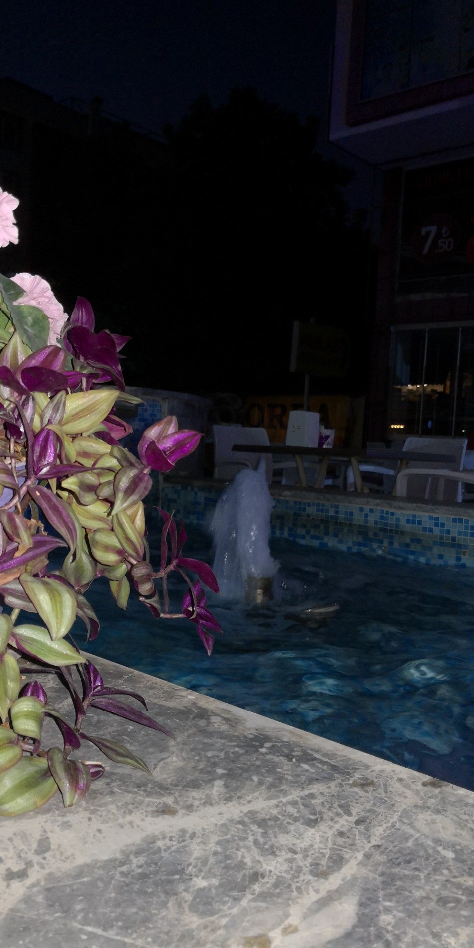 Native Ground Cafe&Bistro menü fiyatları 20222023.Orta, Antalya Coffee