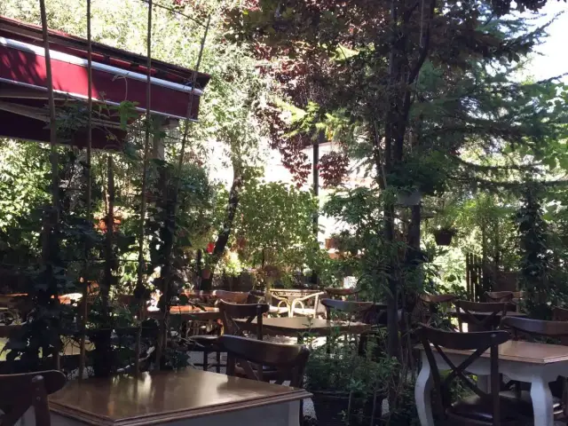 Cafe Botanica'nin yemek ve ambiyans fotoğrafları 73