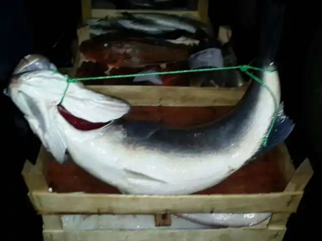 Yeşilköy Yalıer 2 Balık Lokantası'nin yemek ve ambiyans fotoğrafları 39