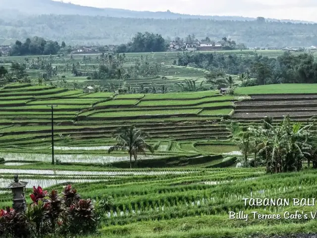 Gambar Makanan Billy's Terrace Cafe 20