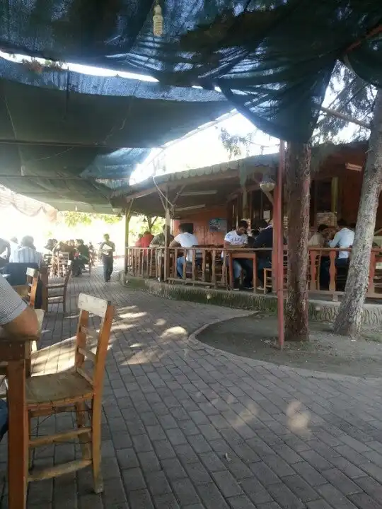 Kıbrıs Cafe'nin yemek ve ambiyans fotoğrafları 2