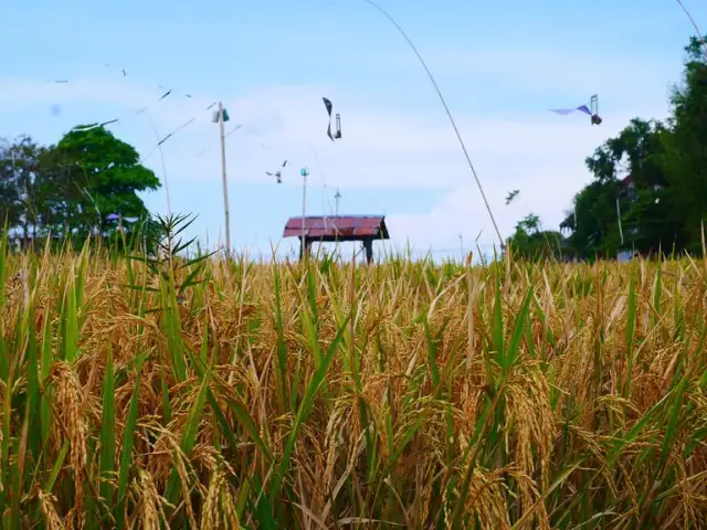 Gambar Makanan Waroeng De Daun 10