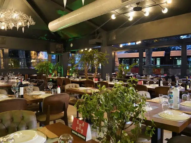 Loti Cafe & Roof Lounge'nin yemek ve ambiyans fotoğrafları 5
