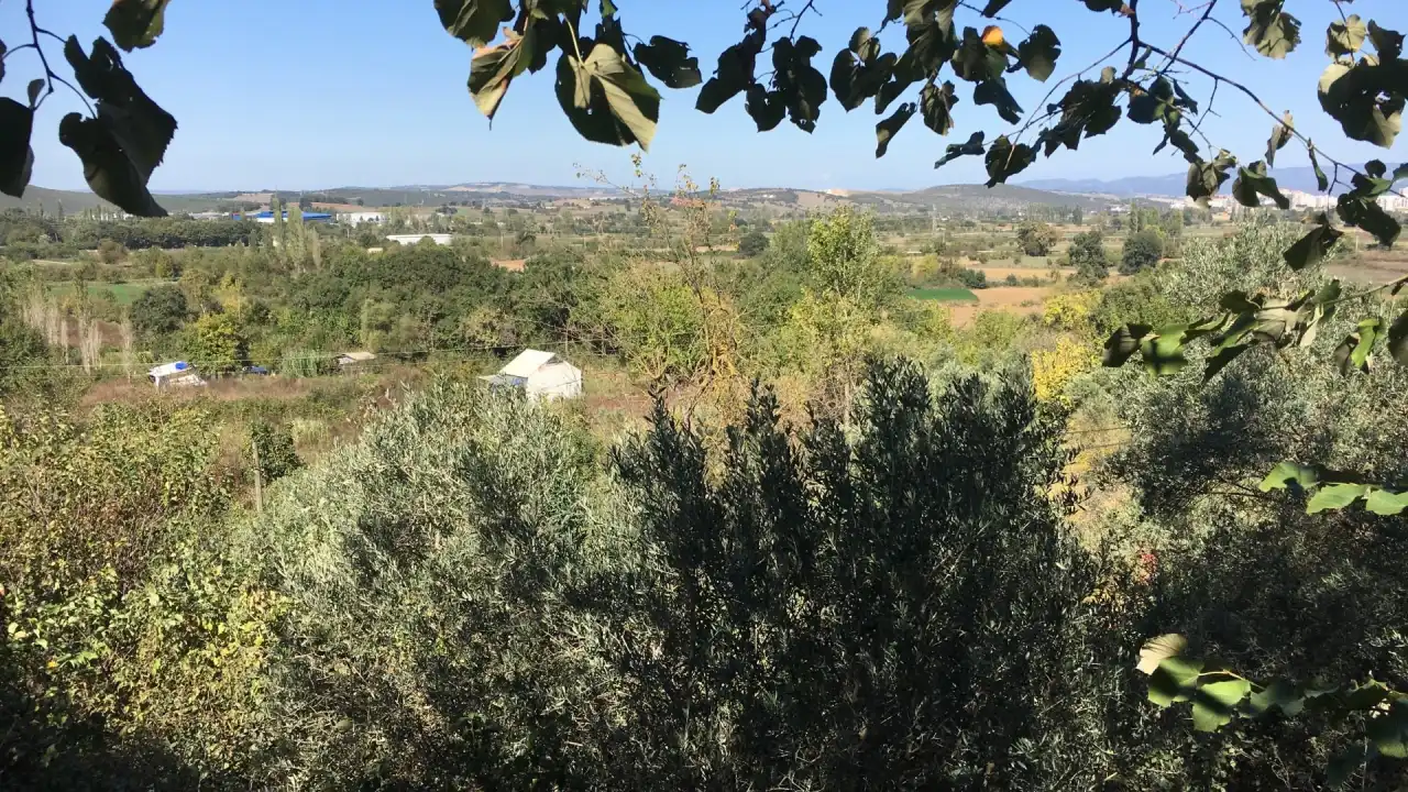 Saklı Bahçe Balik Restaurant